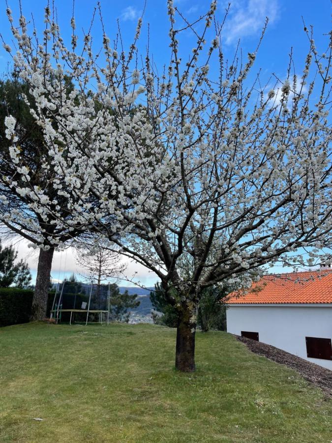 Casa Catita - Douro Villa Baião Eksteriør bilde